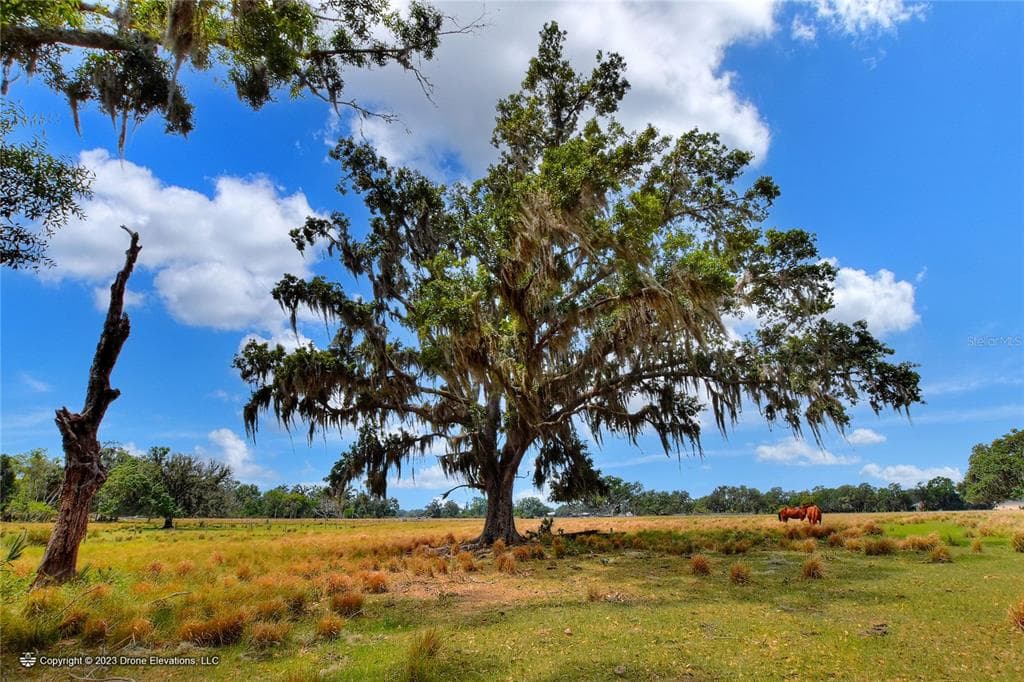 KILGORE ROAD PLANT CITY, FL 33567