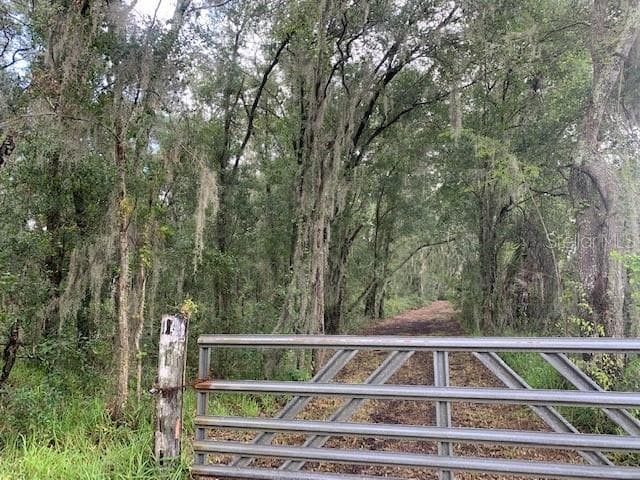 000 MCINTOSH ROAD THONOTOSASSA, FL 33592