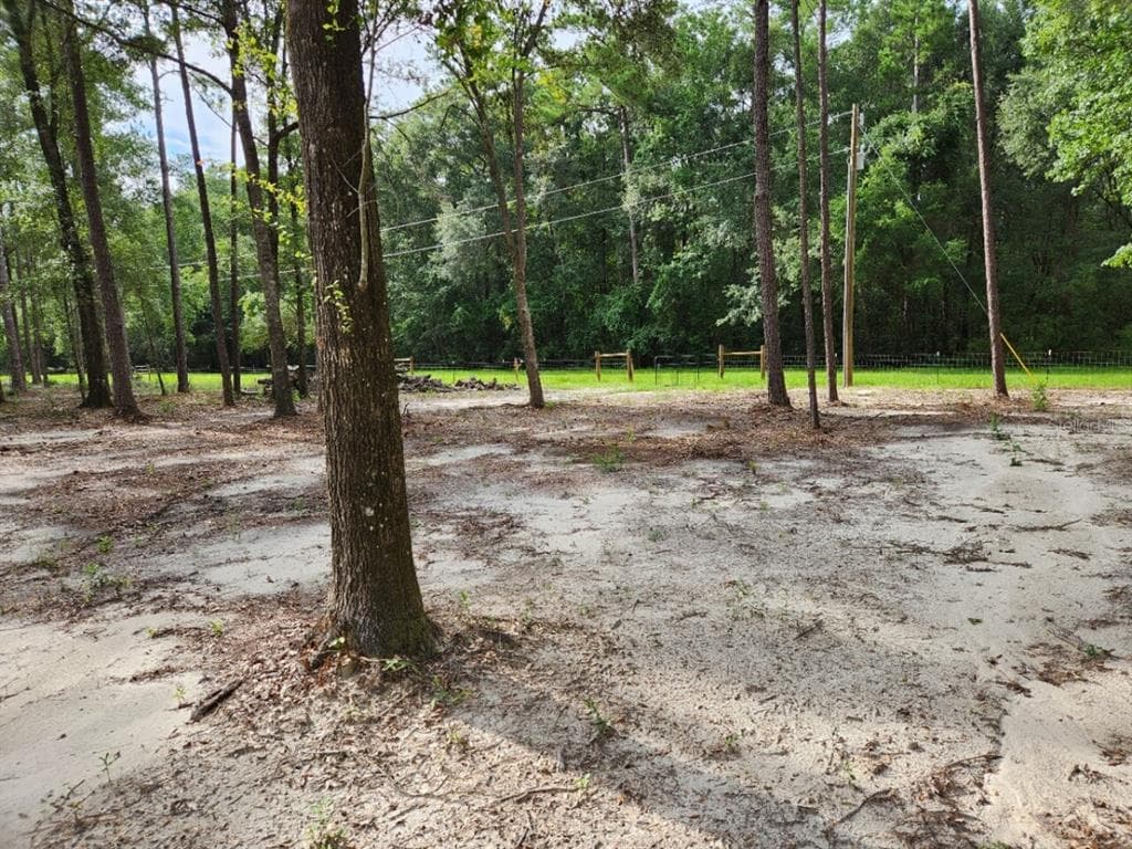346 NE LAURIE LANE MAYO, FL 32066