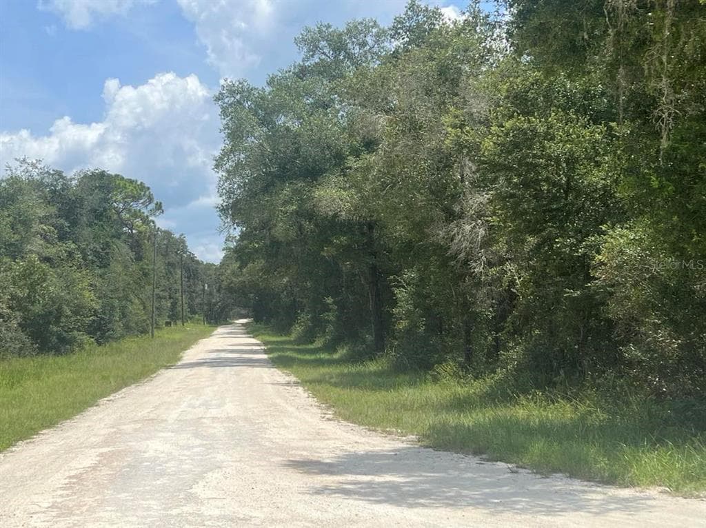 35004 BATESFIELD STREET WEBSTER, FL 33597