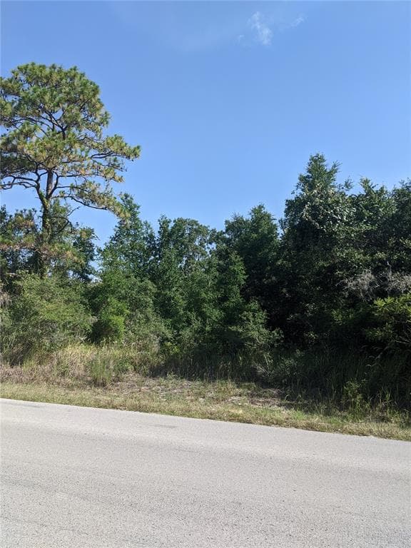 00 LITTLE RANCH ROAD SPRING HILL, FL 34610