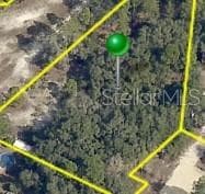 . MILGATE COURT WEEKI WACHEE, FL 34614
