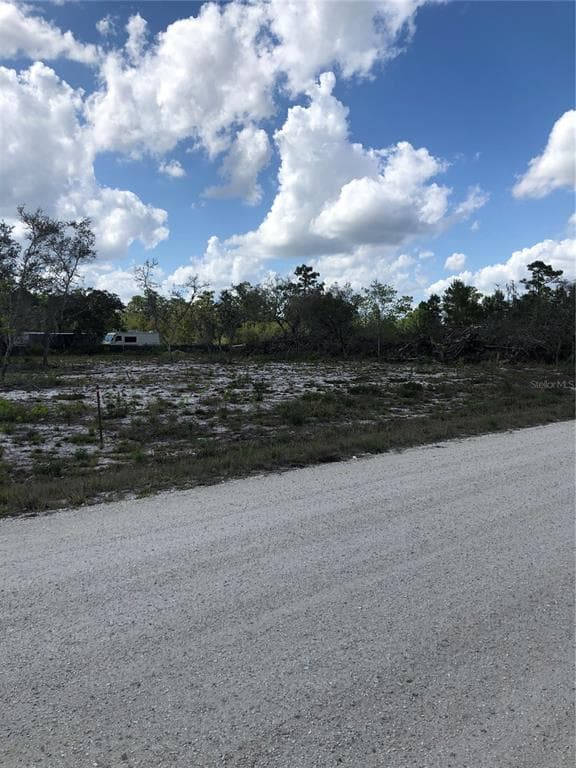 490 HOBBS DRIVE VENUS, FL 33960