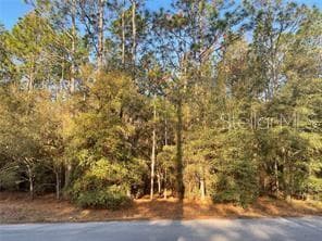 202 COURT SW DUNNELLON, FL 34431