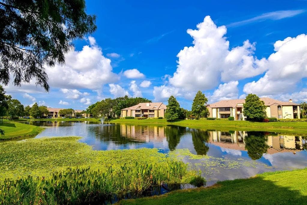 10265 GANDY BOULEVARD N UNIT 704 ST PETERSBURG, FL 33702