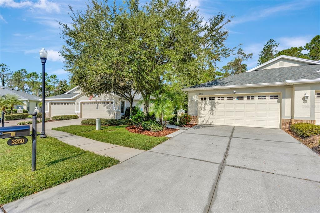 3250 CHAPEL CREEK CIRCLE WESLEY CHAPEL, FL 33544