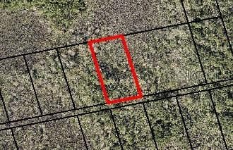 (NONE) INDIAN RIVER PARK MIMS, FL 32754