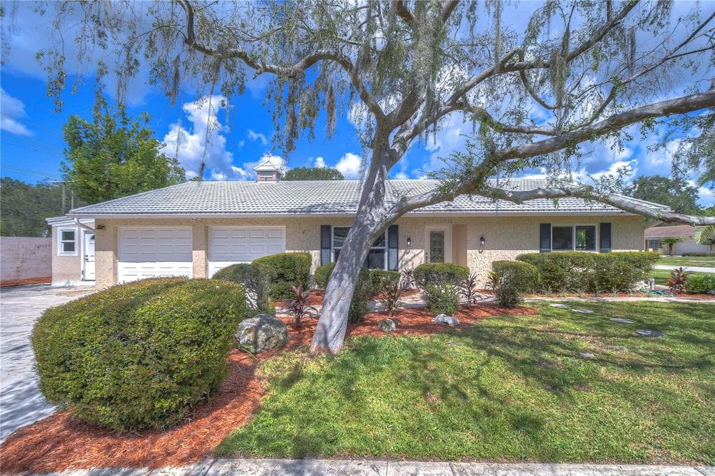 13302 MORAN DRIVE TAMPA, FL 33618
