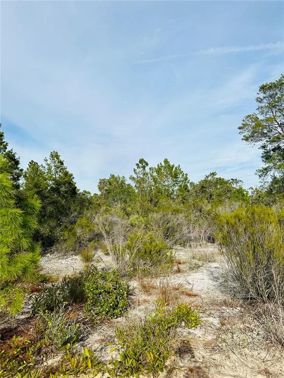 1050 HUGHES AVENUE LAKE PLACID, FL 33852