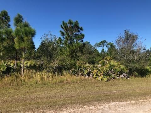 1229 PINNATA DRIVE INDIAN LAKE ESTATES, FL 33855