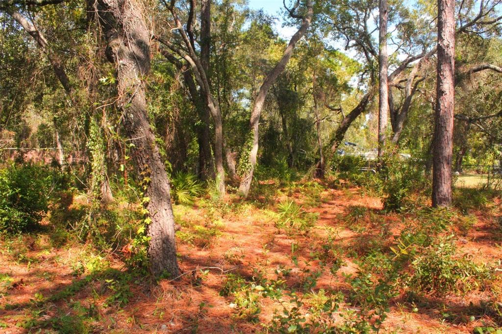 7489 W PEDERSEN LOOP HOMOSASSA, FL 34446