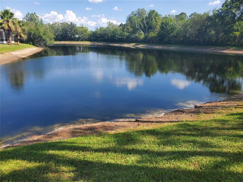 6604 MAGNOLIA POINT DRIVE LAND O LAKES, FL 34637