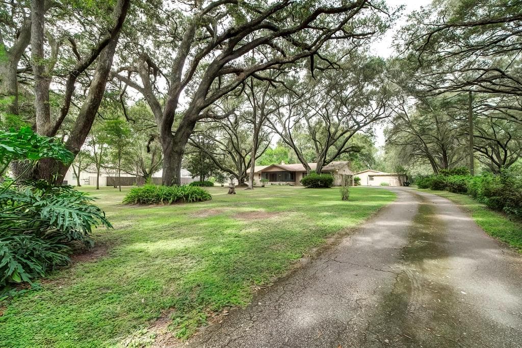 1508 TOUCHTON ROAD LUTZ, FL 33549