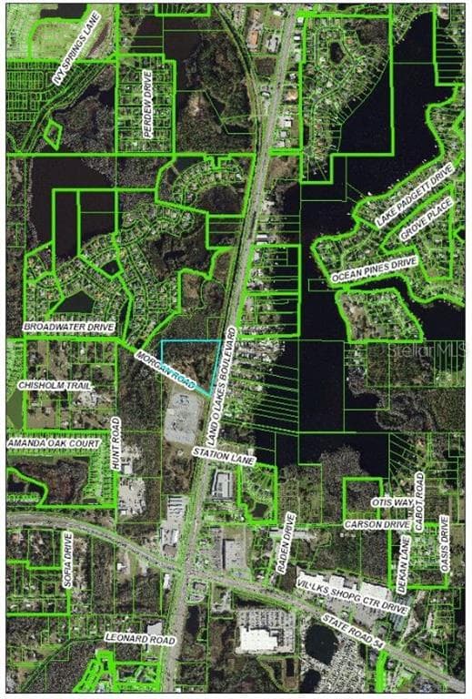 21201 MORGAN ROAD LAND O LAKES, FL 34638