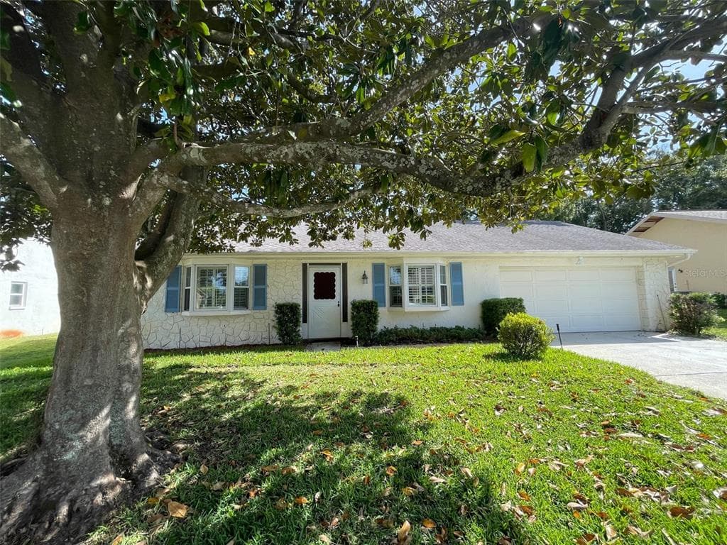 1659 E DORCHESTER COURT PALM HARBOR, FL 34684