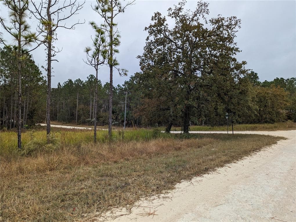 16058 PENN STATE ROAD WEEKI WACHEE, FL 34614