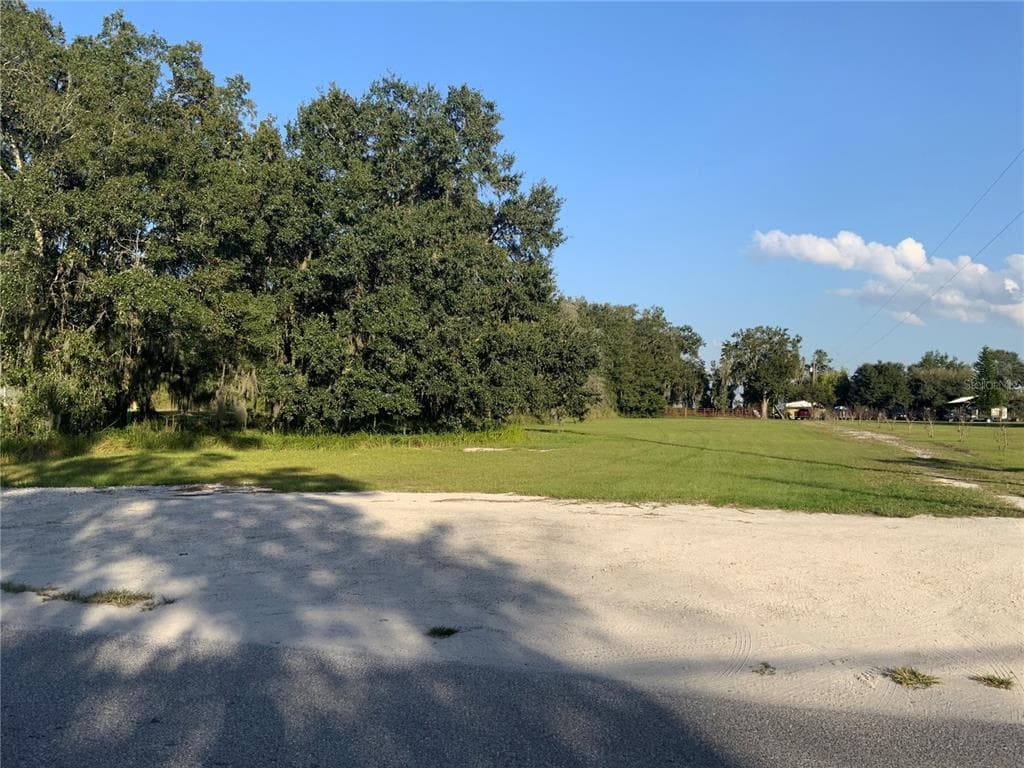 110 CESARA DRIVE W MULBERRY, FL 33860