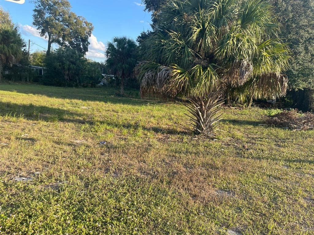 LITTLE ROAD NEW PORT RICHEY, FL 34654