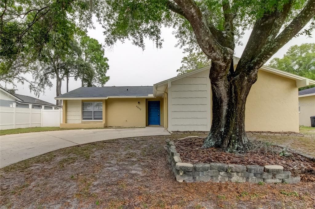 6803 SPANISH MOSS CIRCLE TAMPA, FL 33625