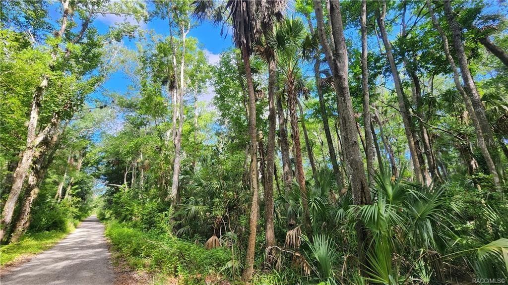 10079 W FAYETTE STREET HOMOSASSA, FL 34448
