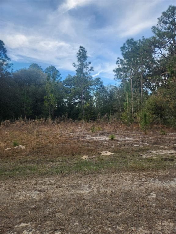 8203 W BAUMGARDNER LANE CRYSTAL RIVER, FL 34428