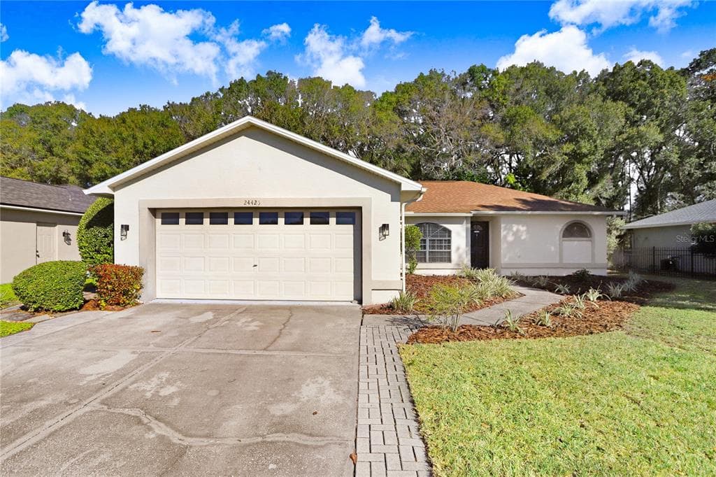 24425 PAINTER DRIVE LAND O LAKES, FL 34639