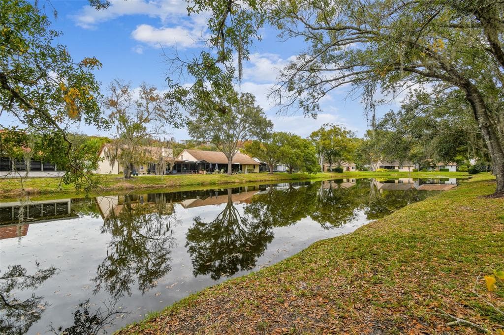 3022 BOLT DRIVE PALM HARBOR, FL 34685