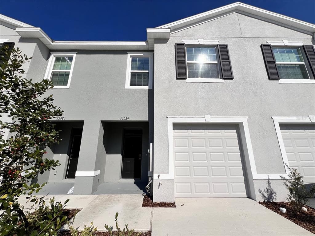 32989 TULIP PETAL LANE WESLEY CHAPEL, FL 33545