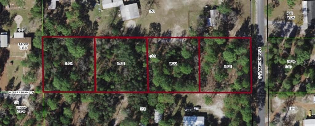 S SLASH PINE AVENUE HOMOSASSA, FL 34446