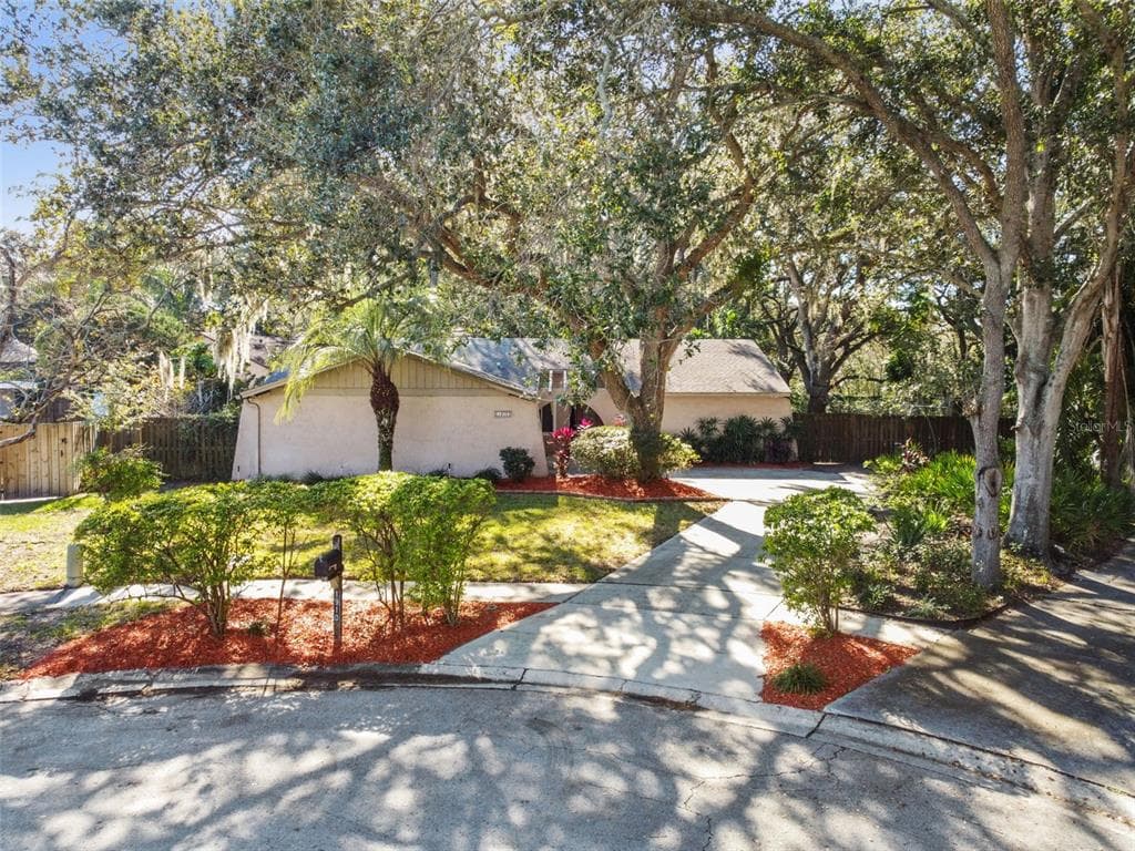 1910 FOREST VIEW DRIVE PALM HARBOR, FL 34683