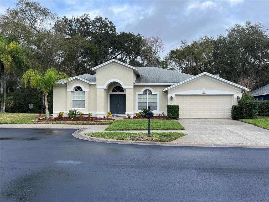 4709 STONEBRIAR DRIVE OLDSMAR, FL 34677