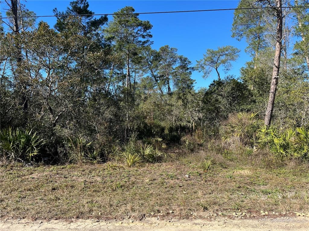 6346 N POLAR POINT DUNNELLON, FL 34433