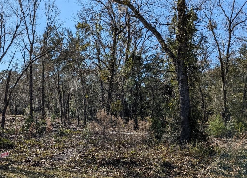 0 GUAVA TERRACE RADIAL OCKLAWAHA, FL 32179