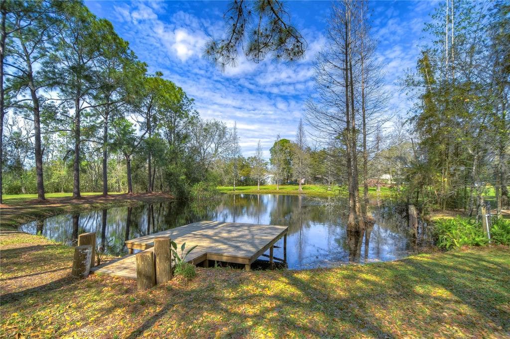 4311 CHARRO LANE PLANT CITY, FL 33565