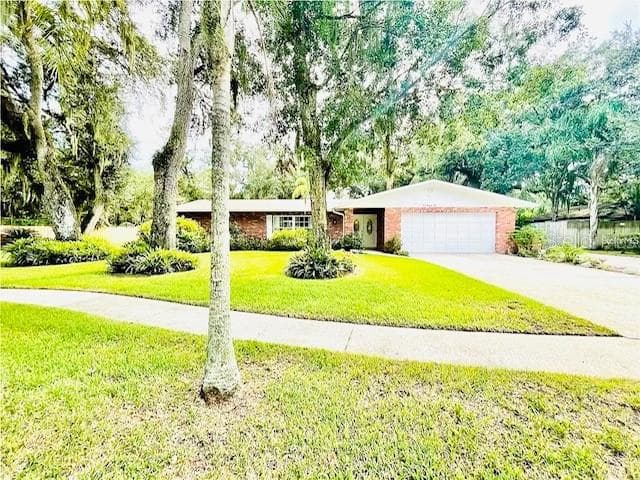 204 BIRCH LANE