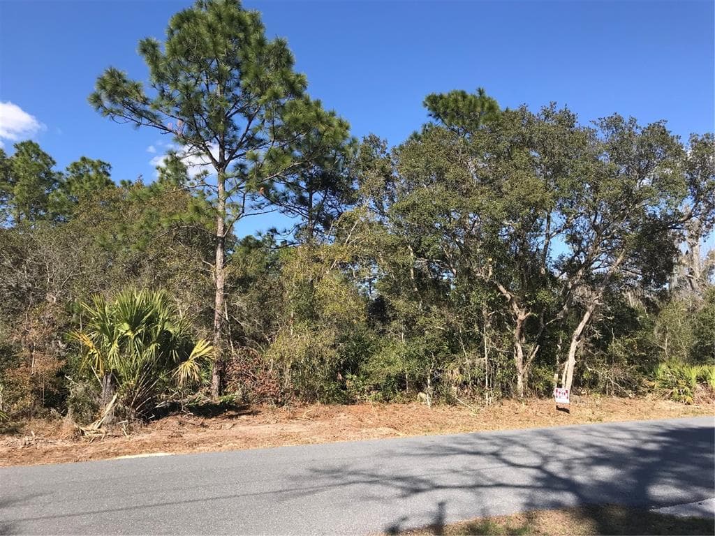6465 W LIBERTY LANE HOMOSASSA, FL 34448