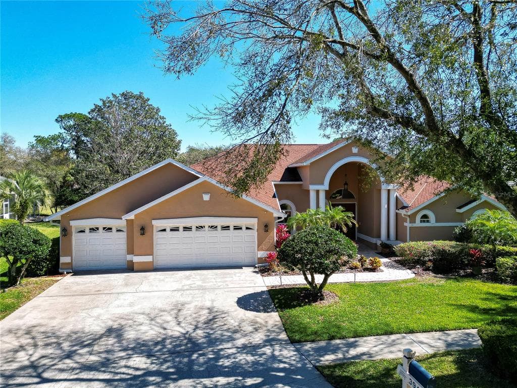 3918 S NINE DRIVE VALRICO, FL 33596