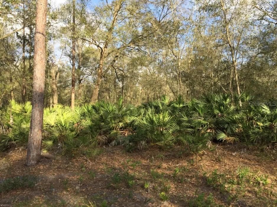 144 PHILLIPS ROAD FLORAHOME, FL 32140