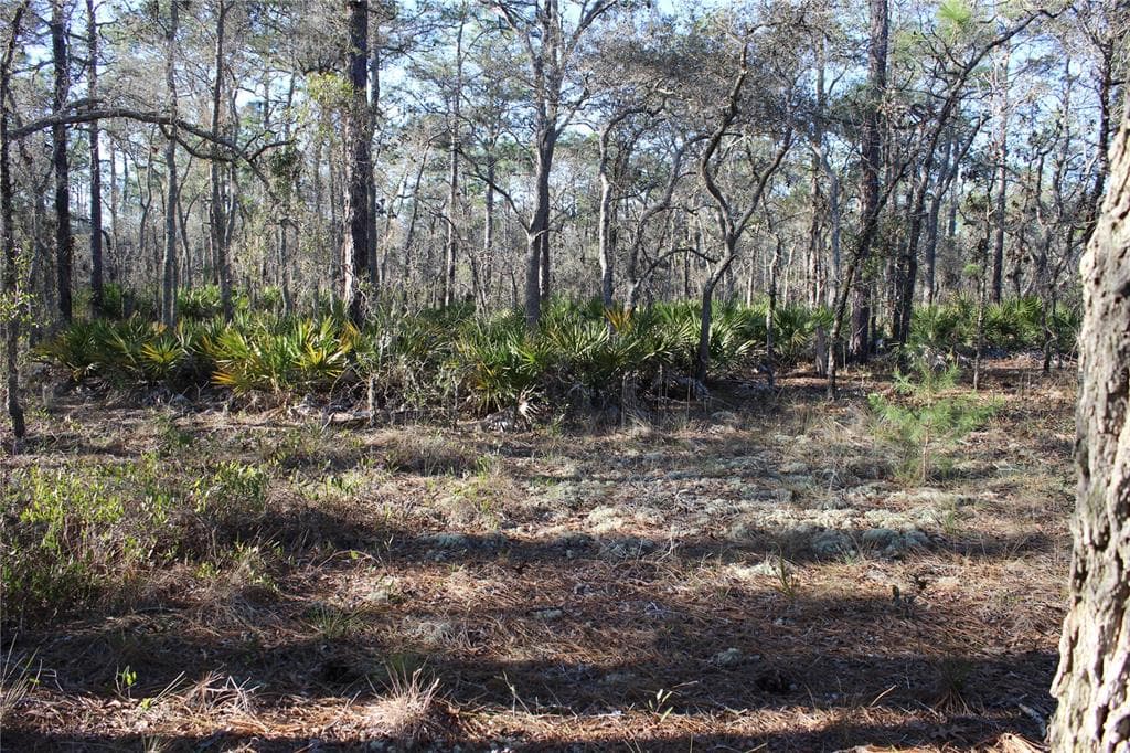 00 SNOWBIRD AVENUE WEEKI WACHEE, FL 34614