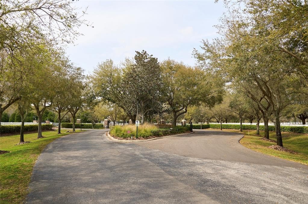 11439 TROTTING DOWN DRIVE ODESSA, FL 33556