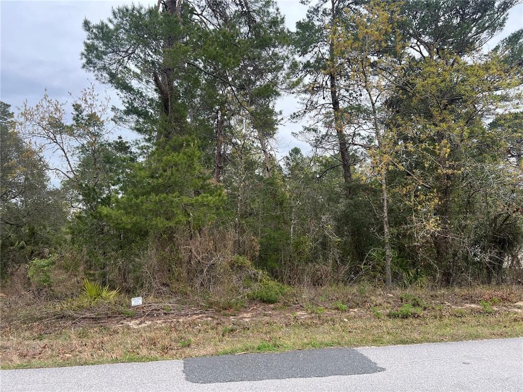 34 LONE PINE STREET HOMOSASSA, FL 34446
