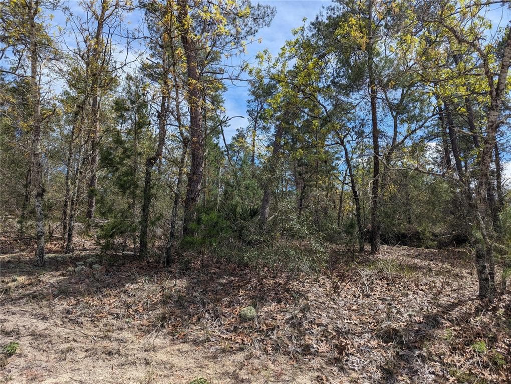 4 LONE PINE STREET HOMOSASSA, FL 34446