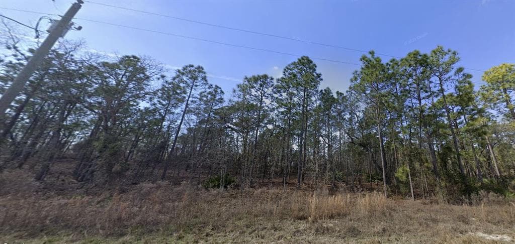 16403 GREENBACK ROAD WEEKI WACHEE, FL 34614
