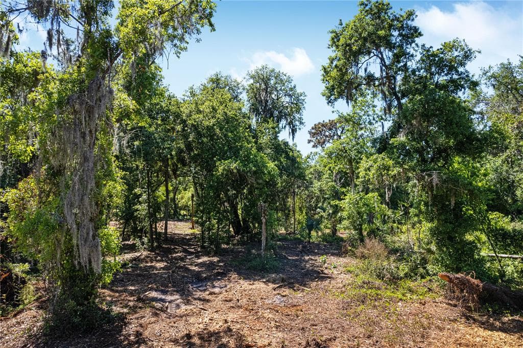 0 S COUNTY ROAD 39 Lot #3 LITHIA, FL 33547