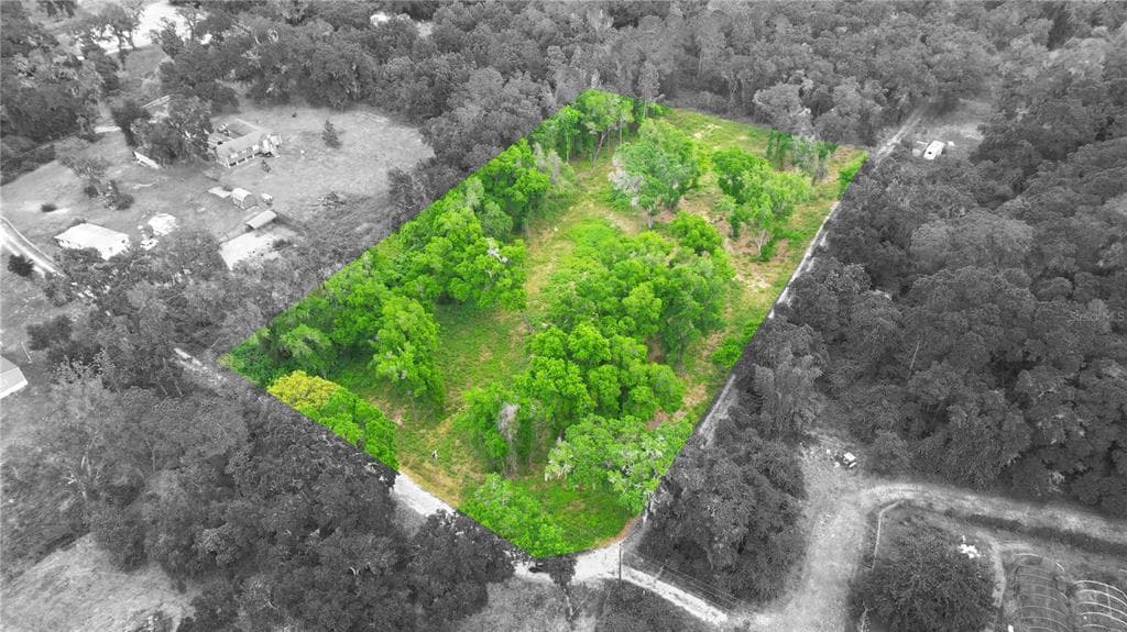 0 CEDAR TREE DRIVE BROOKSVILLE, FL 34602