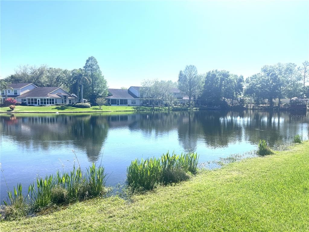 1821 LAKE HERON DRIVE LUTZ, FL 33549