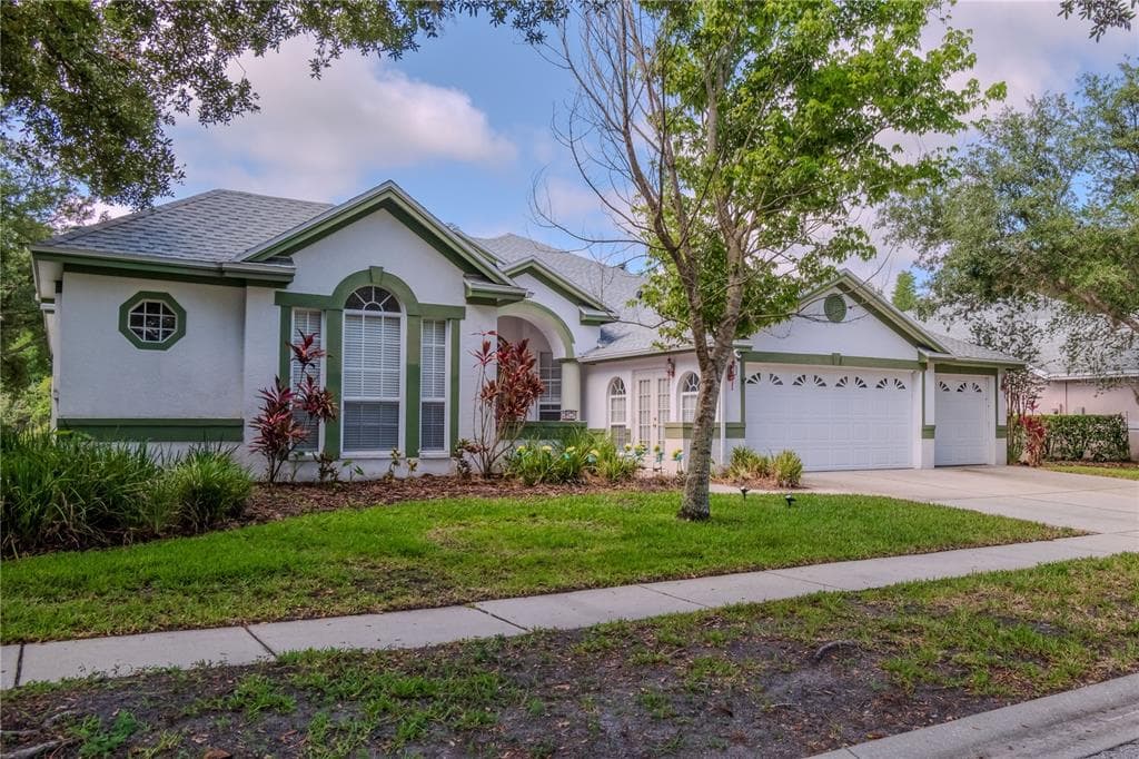 10206 SHADOW BRANCH DRIVE TAMPA, FL 33647
