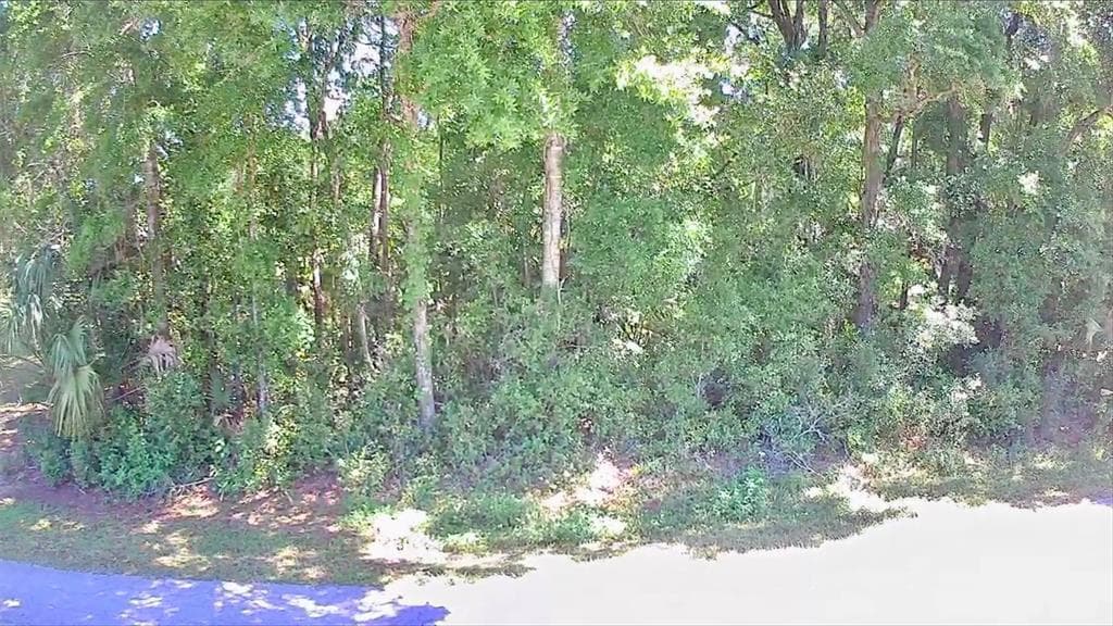 187 N ROOKS AVENUE INVERNESS, FL 34453