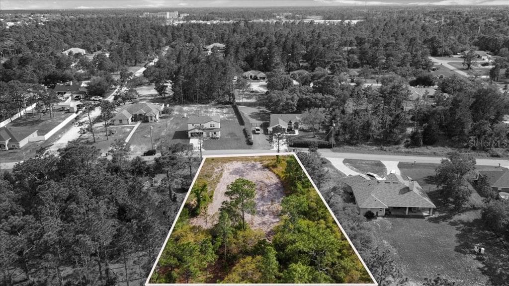 11249 FOOL DUCK AVENUE WEEKI WACHEE, FL 34613