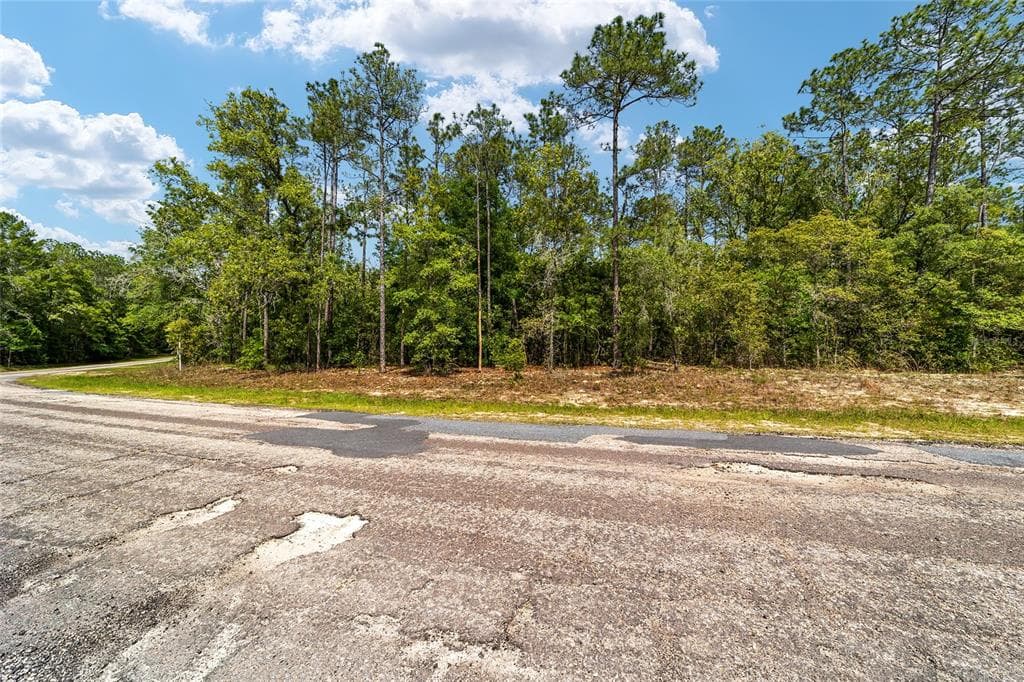 10291 N SHERMAN DRIVE CITRUS SPRINGS, FL 34434